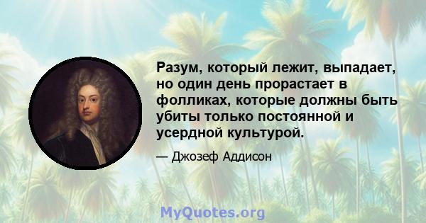 Разум, который лежит, выпадает, но один день прорастает в фолликах, которые должны быть убиты только постоянной и усердной культурой.