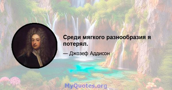 Среди мягкого разнообразия я потерял.