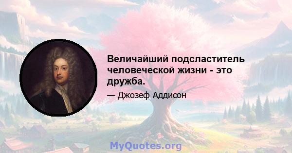 Величайший подсластитель человеческой жизни - это дружба.