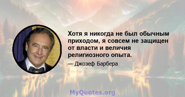 Хотя я никогда не был обычным приходом, я совсем не защищен от власти и величия религиозного опыта.