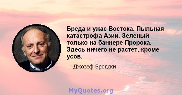 Бреда и ужас Востока. Пыльная катастрофа Азии. Зеленый только на баннере Пророка. Здесь ничего не растет, кроме усов.