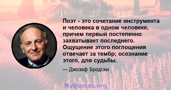 Поэт - это сочетание инструмента и человека в одном человеке, причем первый постепенно захватывает последнего. Ощущение этого поглощения отвечает за тембр; осознание этого, для судьбы.