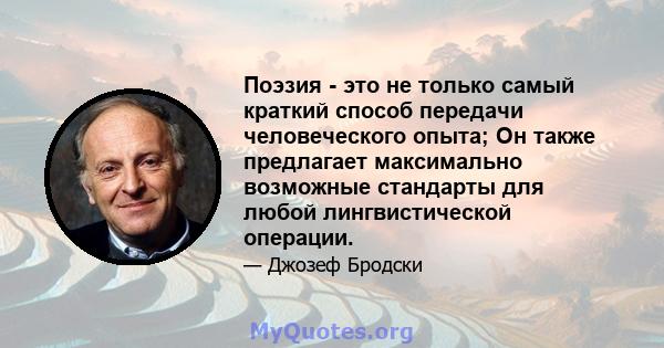 Поэзия - это не только самый краткий способ передачи человеческого опыта; Он также предлагает максимально возможные стандарты для любой лингвистической операции.