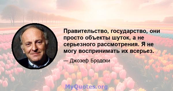 Правительство, государство, они просто объекты шуток, а не серьезного рассмотрения. Я не могу воспринимать их всерьез.