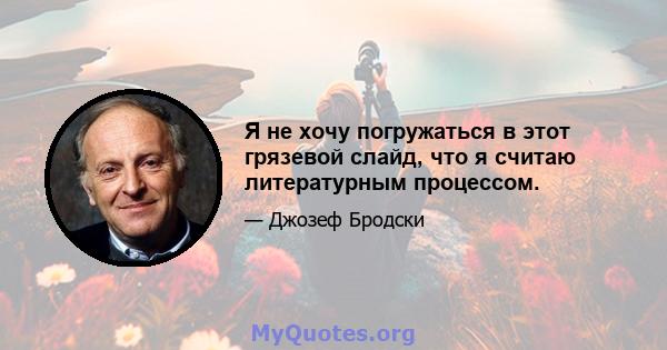 Я не хочу погружаться в этот грязевой слайд, что я считаю литературным процессом.