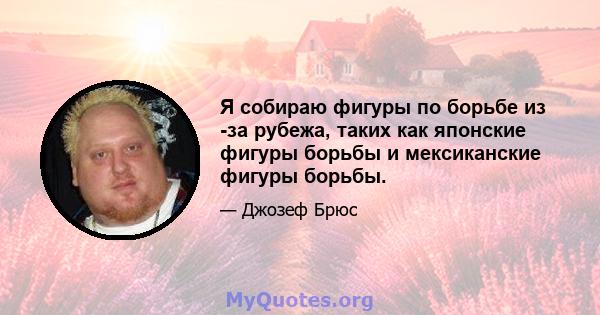 Я собираю фигуры по борьбе из -за рубежа, таких как японские фигуры борьбы и мексиканские фигуры борьбы.