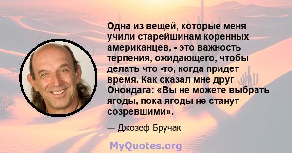 Одна из вещей, которые меня учили старейшинам коренных американцев, - это важность терпения, ожидающего, чтобы делать что -то, когда придет время. Как сказал мне друг Онондага: «Вы не можете выбрать ягоды, пока ягоды не 