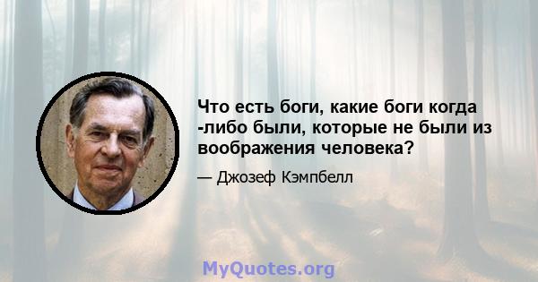 Что есть боги, какие боги когда -либо были, которые не были из воображения человека?