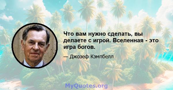 Что вам нужно сделать, вы делаете с игрой. Вселенная - это игра богов.