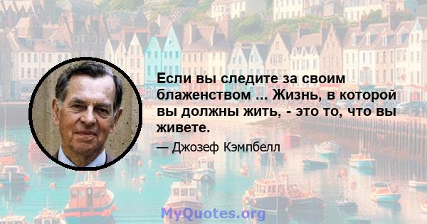 Если вы следите за своим блаженством ... Жизнь, в которой вы должны жить, - это то, что вы живете.