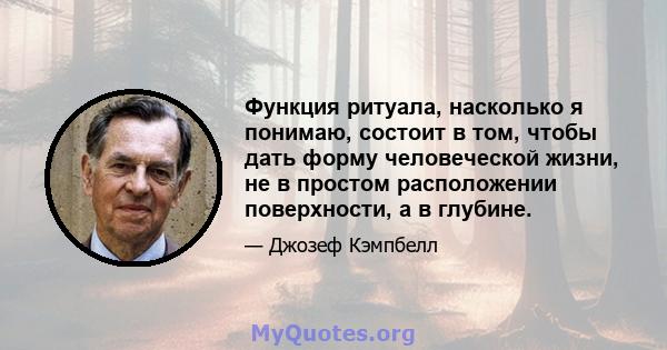 Функция ритуала, насколько я понимаю, состоит в том, чтобы дать форму человеческой жизни, не в простом расположении поверхности, а в глубине.