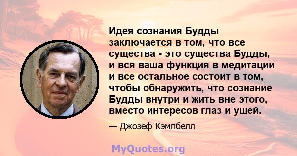 Идея сознания Будды заключается в том, что все существа - это существа Будды, и вся ваша функция в медитации и все остальное состоит в том, чтобы обнаружить, что сознание Будды внутри и жить вне этого, вместо интересов