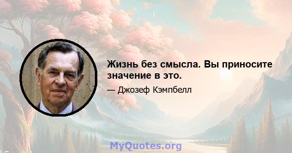 Жизнь без смысла. Вы приносите значение в это.