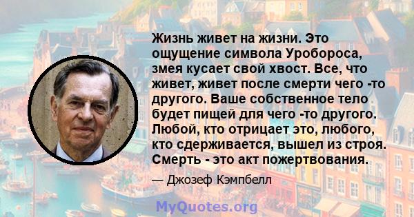 Жизнь живет на жизни. Это ощущение символа Уробороса, змея кусает свой хвост. Все, что живет, живет после смерти чего -то другого. Ваше собственное тело будет пищей для чего -то другого. Любой, кто отрицает это, любого, 