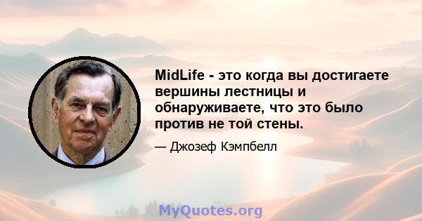 MidLife - это когда вы достигаете вершины лестницы и обнаруживаете, что это было против не той стены.