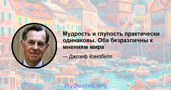 Мудрость и глупость практически одинаковы. Оба безразличны к мнениям мира