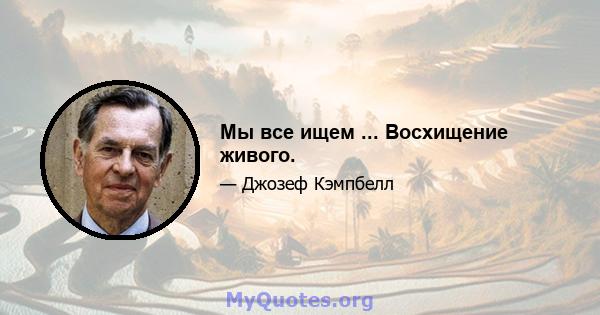 Мы все ищем ... Восхищение живого.