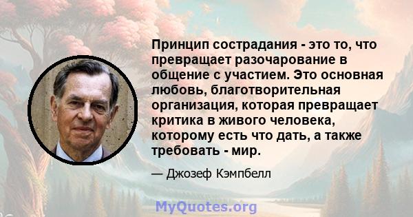 Принцип сострадания - это то, что превращает разочарование в общение с участием. Это основная любовь, благотворительная организация, которая превращает критика в живого человека, которому есть что дать, а также