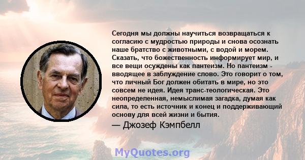 Сегодня мы должны научиться возвращаться к согласию с мудростью природы и снова осознать наше братство с животными, с водой и морем. Сказать, что божественность информирует мир, и все вещи осуждены как пантеизм. Но