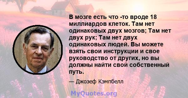 В мозге есть что -то вроде 18 миллиардов клеток. Там нет одинаковых двух мозгов; Там нет двух рук; Там нет двух одинаковых людей. Вы можете взять свои инструкции и свое руководство от других, но вы должны найти свой