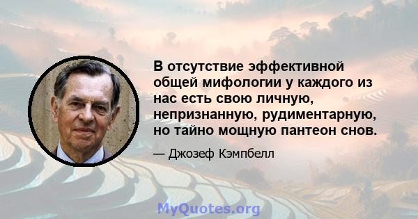 В отсутствие эффективной общей мифологии у каждого из нас есть свою личную, непризнанную, рудиментарную, но тайно мощную пантеон снов.