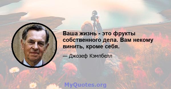 Ваша жизнь - это фрукты собственного дела. Вам некому винить, кроме себя.