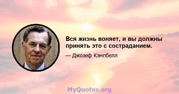 Вся жизнь воняет, и вы должны принять это с состраданием.