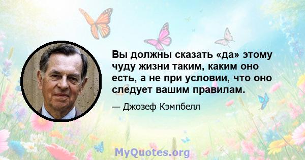 Вы должны сказать «да» этому чуду жизни таким, каким оно есть, а не при условии, что оно следует вашим правилам.