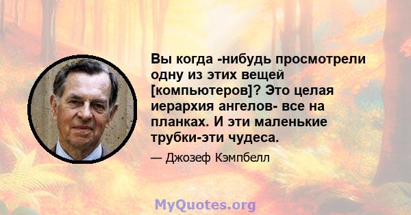 Вы когда -нибудь просмотрели одну из этих вещей [компьютеров]? Это целая иерархия ангелов- все на планках. И эти маленькие трубки-эти чудеса.