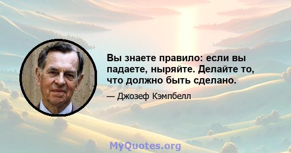 Вы знаете правило: если вы падаете, ныряйте. Делайте то, что должно быть сделано.