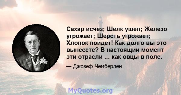 Сахар исчез; Шелк ушел; Железо угрожает; Шерсть угрожает; Хлопок пойдет! Как долго вы это вынесете? В настоящий момент эти отрасли ... как овцы в поле.