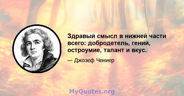 Здравый смысл в нижней части всего: добродетель, гений, остроумие, талант и вкус.