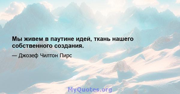 Мы живем в паутине идей, ткань нашего собственного создания.