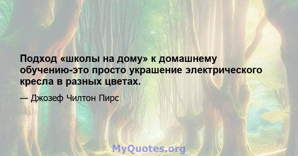 Подход «школы на дому» к домашнему обучению-это просто украшение электрического кресла в разных цветах.