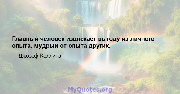 Главный человек извлекает выгоду из личного опыта, мудрый от опыта других.