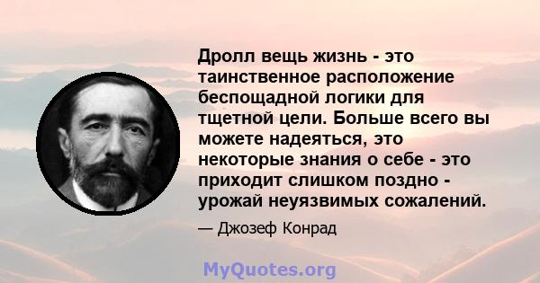 Дролл вещь жизнь - это таинственное расположение беспощадной логики для тщетной цели. Больше всего вы можете надеяться, это некоторые знания о себе - это приходит слишком поздно - урожай неуязвимых сожалений.