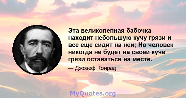 Эта великолепная бабочка находит небольшую кучу грязи и все еще сидит на ней; Но человек никогда не будет на своей куче грязи оставаться на месте.