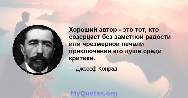 Хороший автор - это тот, кто созерцает без заметной радости или чрезмерной печали приключения его души среди критики.