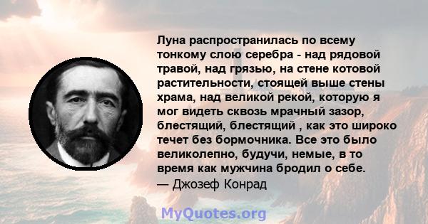 Луна распространилась по всему тонкому слою серебра - над рядовой травой, над грязью, на стене котовой растительности, стоящей выше стены храма, над великой рекой, которую я мог видеть сквозь мрачный зазор, блестящий,