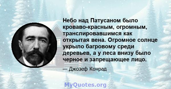 Небо над Патусаном было кроваво-красным, огромным, транслировавшимся как открытая вена. Огромное солнце укрыло багровому среди деревьев, а у леса внизу было черное и запрещающее лицо.