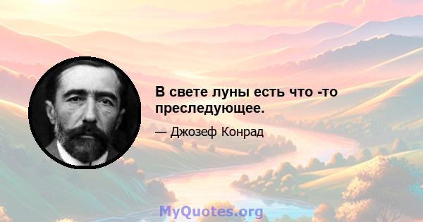 В свете луны есть что -то преследующее.