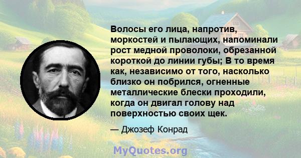 Волосы его лица, напротив, моркостей и пылающих, напоминали рост медной проволоки, обрезанной короткой до линии губы; В то время как, независимо от того, насколько близко он побрился, огненные металлические блески