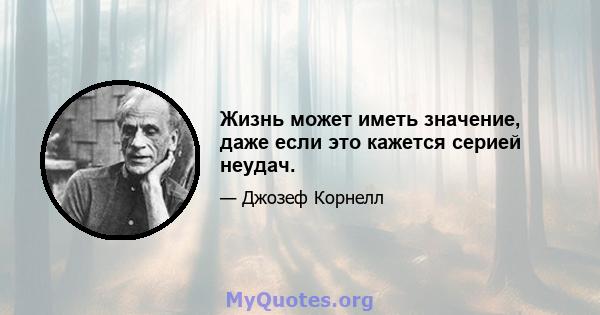 Жизнь может иметь значение, даже если это кажется серией неудач.