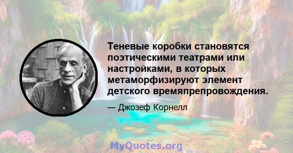 Теневые коробки становятся поэтическими театрами или настройками, в которых метаморфизируют элемент детского времяпрепровождения.