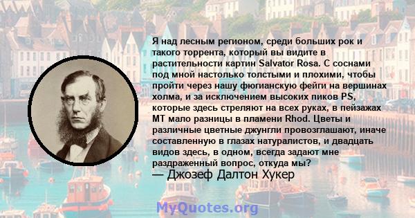 Я над лесным регионом, среди больших рок и такого торрента, который вы видите в растительности картин Salvator Rosa. С соснами под мной настолько толстыми и плохими, чтобы пройти через нашу фюгианскую фейги на вершинах