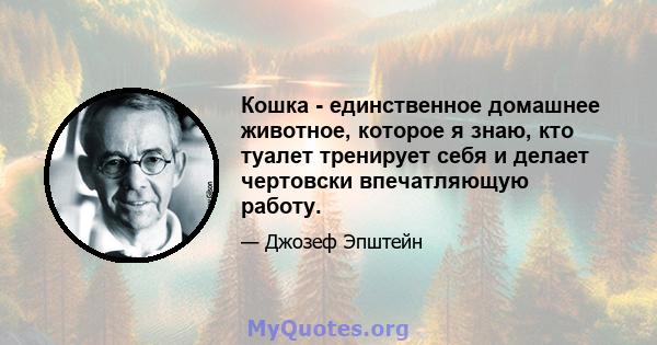 Кошка - единственное домашнее животное, которое я знаю, кто туалет тренирует себя и делает чертовски впечатляющую работу.