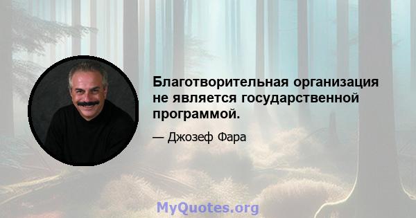 Благотворительная организация не является государственной программой.