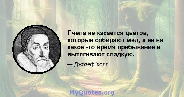 Пчела не касается цветов, которые собирают мед, а ее на какое -то время пребывание и вытягивают сладкую.