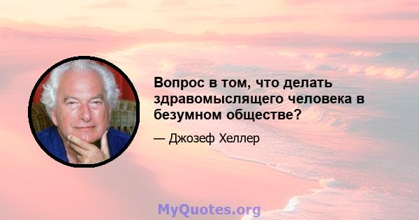 Вопрос в том, что делать здравомыслящего человека в безумном обществе?