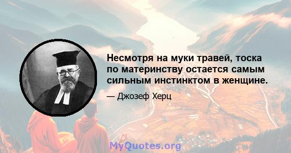 Несмотря на муки травей, тоска по материнству остается самым сильным инстинктом в женщине.